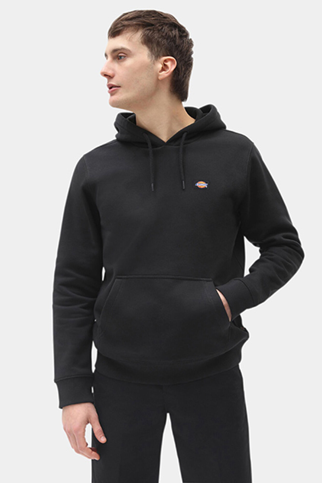 Dickies Sudadera Oakport regular fit